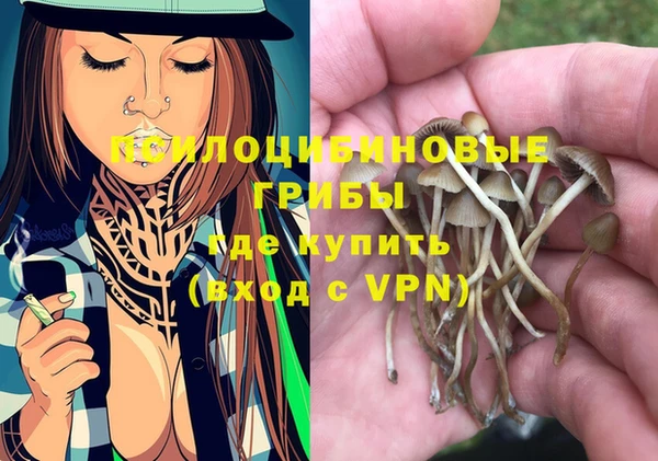 Альфа ПВП Абаза