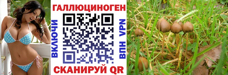 Галлюциногенные грибы прущие грибы  omg вход  Серпухов 